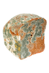 Mouldy Bread