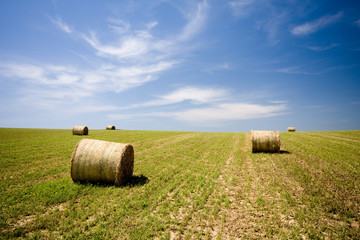 Straw bales