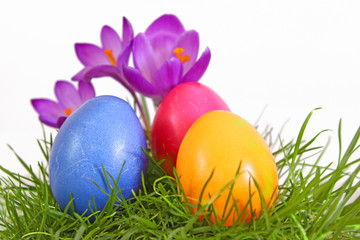 Fototapeta na wymiar easter eggs, wiosna