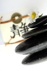 Steine mit Blume und asiatischen Schriftzeichen