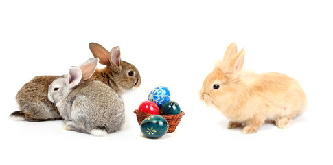 easter rabbits