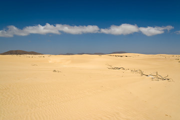 Fototapeta na wymiar Dunes in the Fuerteventura desert