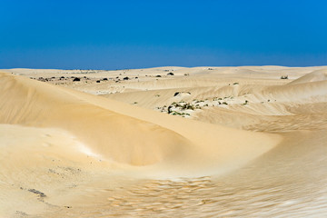 Dunes in the Fuerteventura desert