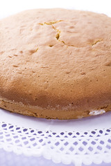 Cake base over white background