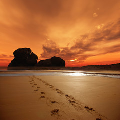 Prints in the sand with sunset