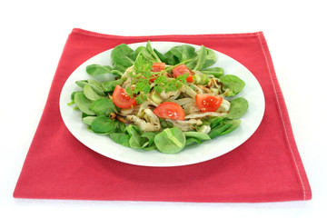 Fenchelsalat