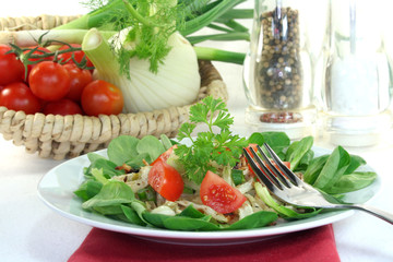 Fenchelsalat