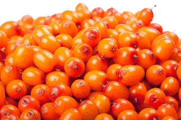 Sea-buckthorn berries