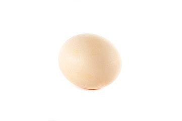 Egg