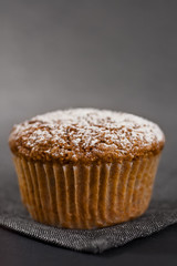 Muffin on Grey