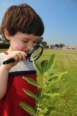 Investigating nature closeup