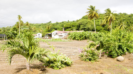 River Antoine Rum Distillery; Grenada