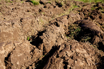arable land soil close-up