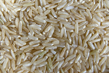 brown rice grains