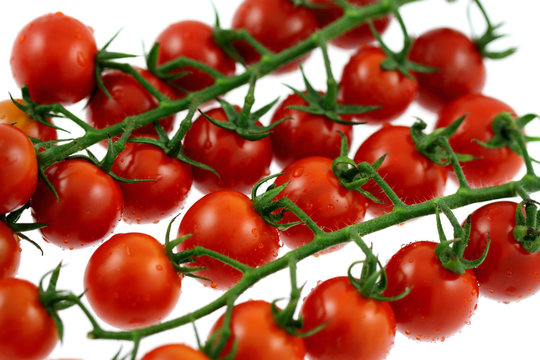 tomates cerises rouges, fond blanc