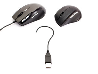 mouse