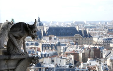 notre dame