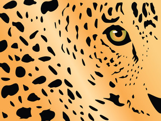 Vector jaguar © Athanasia Nomikou