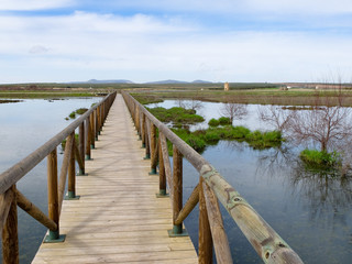 Wooden bridge crossing the lagoon of Fuente Piedra