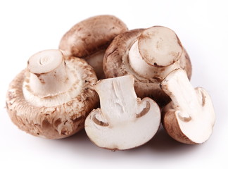 Mushrooms royal champignon on a white background