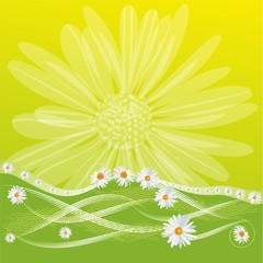 hintergrund frühling margaritte abstrakt © Sonja Janson