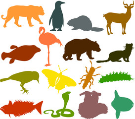 Set of animals icons F  - silhouettes