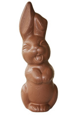 Fototapeta premium Schoko-Osterhase 1