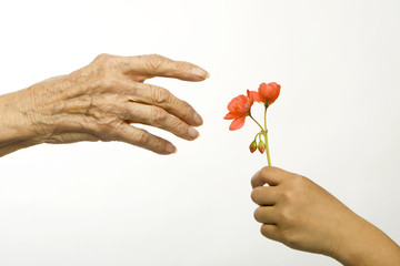 young and old hands