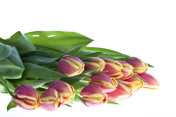 Obraz premium Tulpenstrauss #2