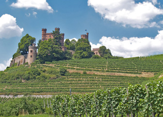 Fototapeta na wymiar Schloss Ortenberg