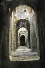 Fototapeta premium Piscina mirabilis