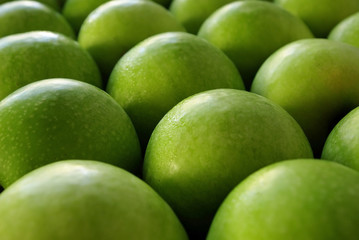 pommes vertes granny smith alignées