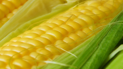 Corn cob