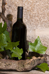 botella de vino, bodega