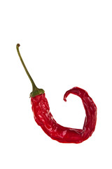 Wilted red hot chilli pepper isolated on white background.