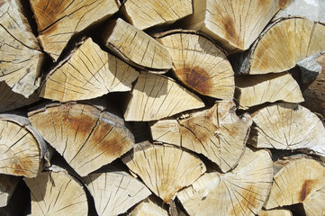 Fototapeta premium firewood