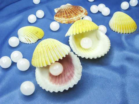 pearls in sea shells on blue background