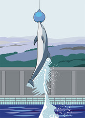 springender Delphin