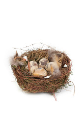 Easter eggs in a nest