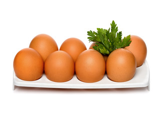 Chicken brown eggs in container with parsley isolated on white