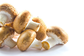 Champignons