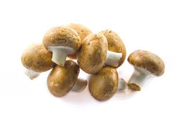 Champignons