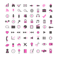 Pink Web and Business Icons