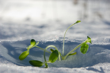 In sun beams. Impossible - it is possible