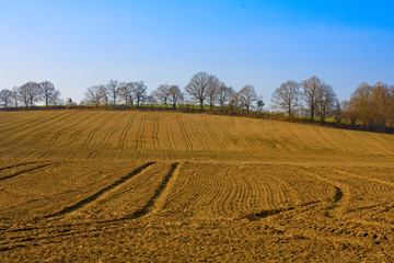 Agriculture Landspace