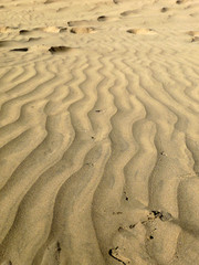 Sand Dunes Pattern