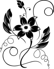 Flower  black a white pattern