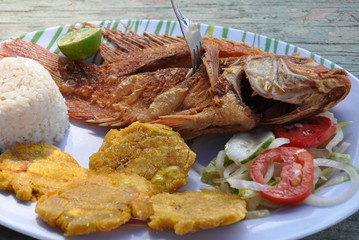 fangfrischer Fisch in der Karibik