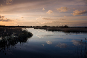 Atardecer en Daimiel