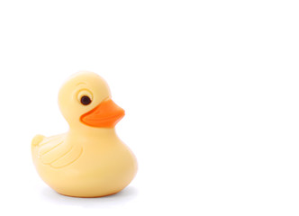 Yellow toy duck isolated on white